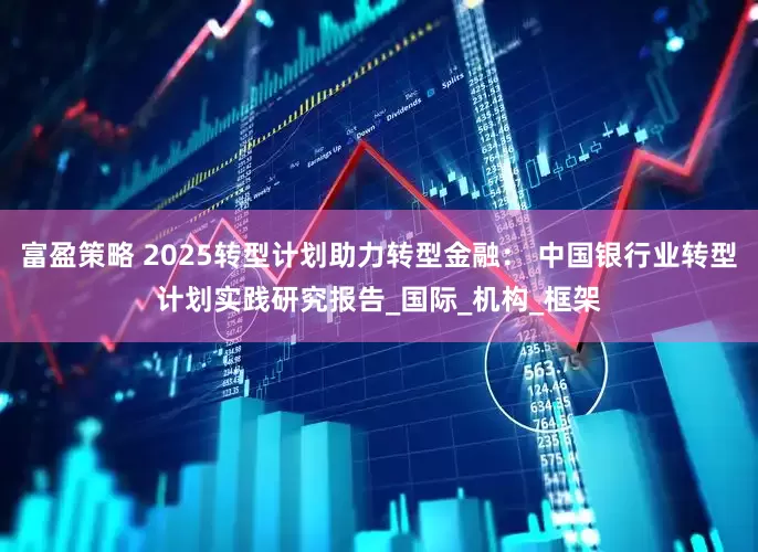 富盈策略 2025转型计划助力转型金融： 中国银行业转型计划实践研究报告_国际_机构_框架